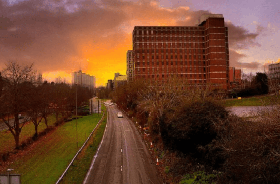 Home & Prenatal Paternity Testing Maplewood